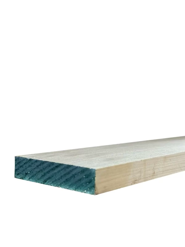20 x 100 Ash