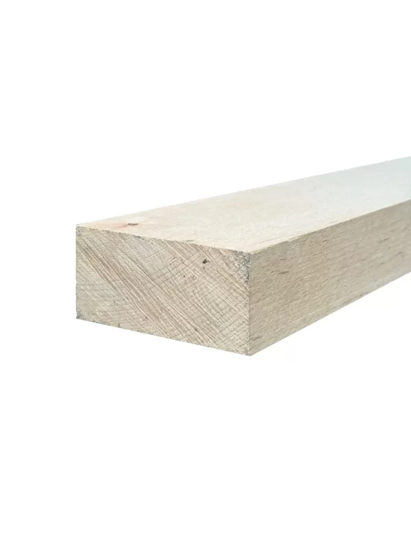 50 x 100 Beech