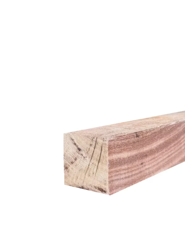 100 x 100 Sapele
